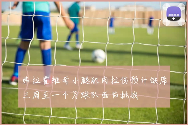 弗拉霍维奇小腿肌肉拉伤预计缺席三周至一个月球队面临挑战