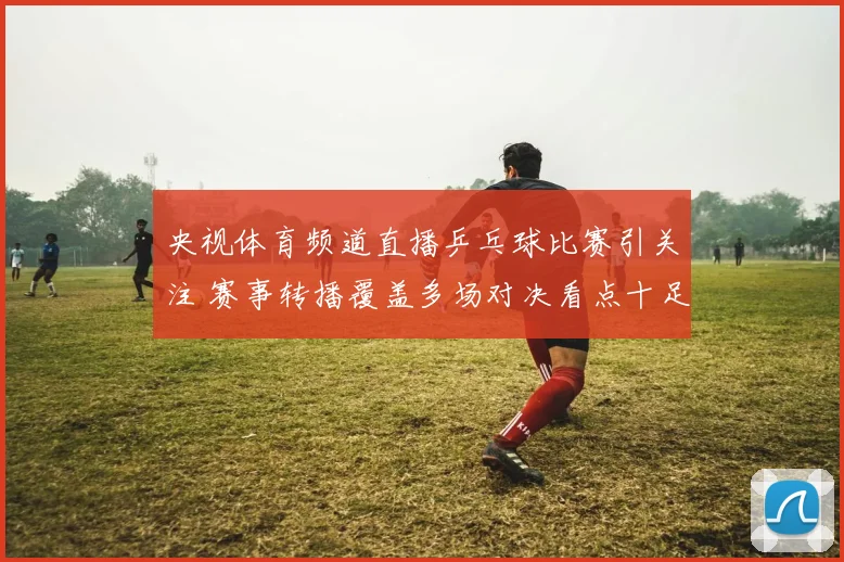 央视体育频道直播乒乓球比赛引关注 赛事转播覆盖多场对决看点十足