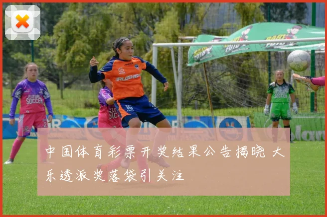中国体育彩票开奖结果公告揭晓 大乐透派奖落袋引关注